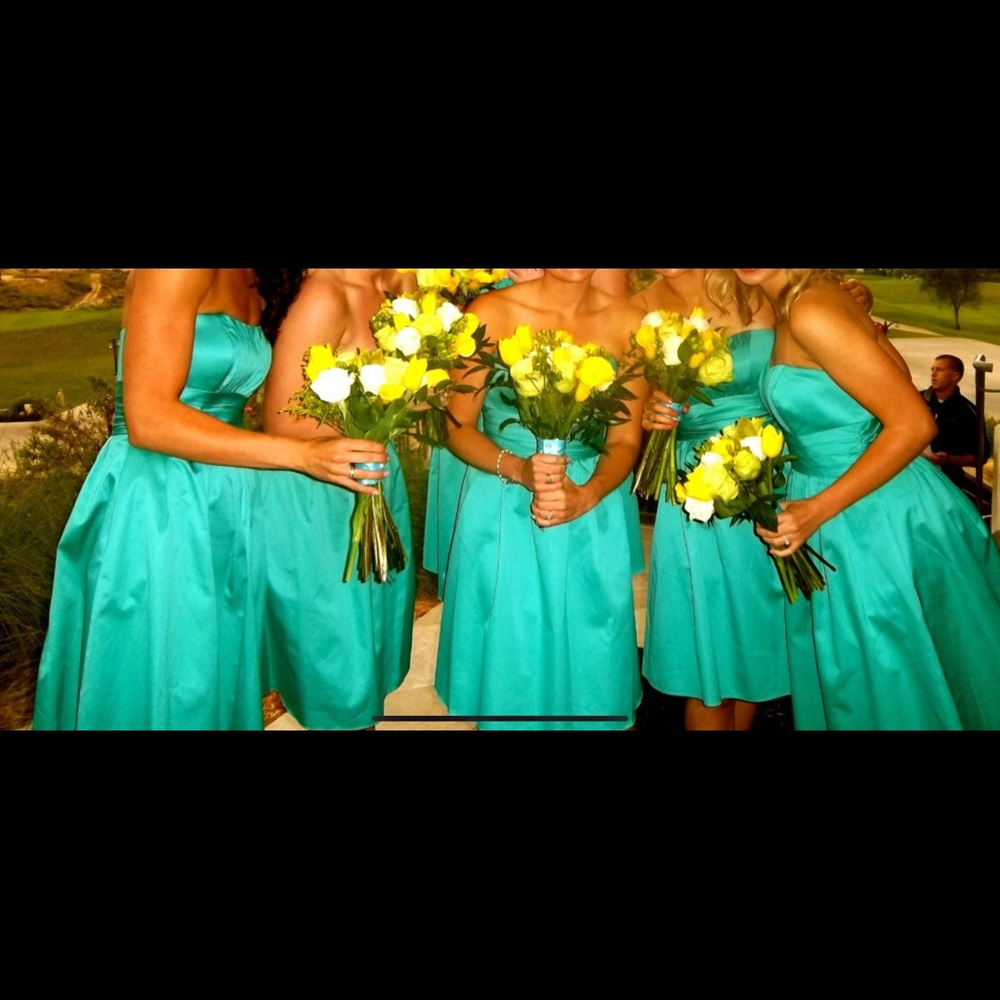 David’s Bridal Aquamarine Formal Dress